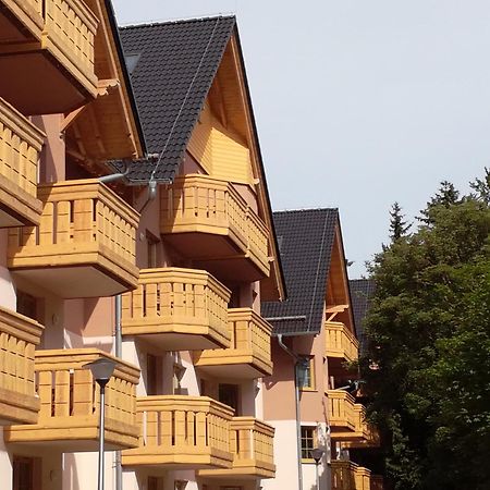 Apartament Podgorze 21 Apartment Szklarska Poreba Ngoại thất bức ảnh